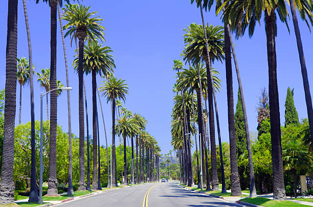 Luxury Beverly Hills property with drone cleaning