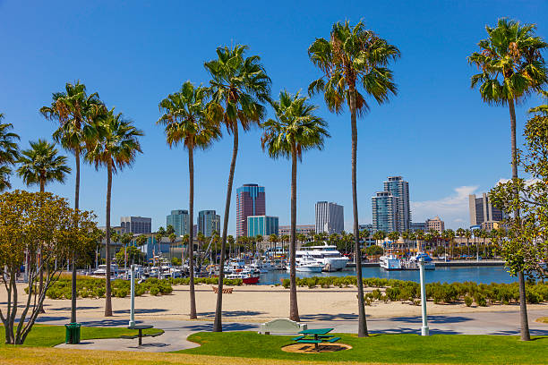 Long Beach waterfront property with drone cleaning
