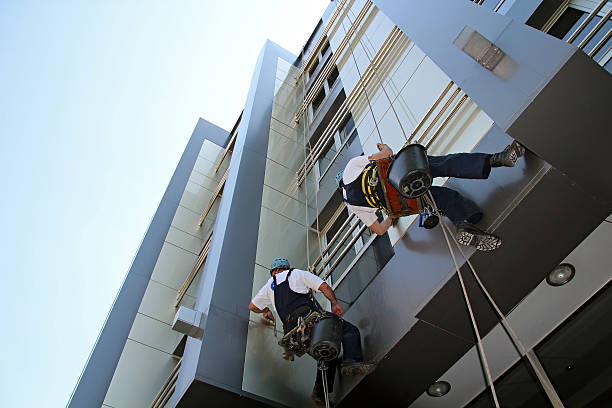 Contemporary design maintenance in Manhattan Beach